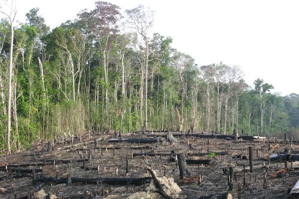 Área desmatada na Amazônia.