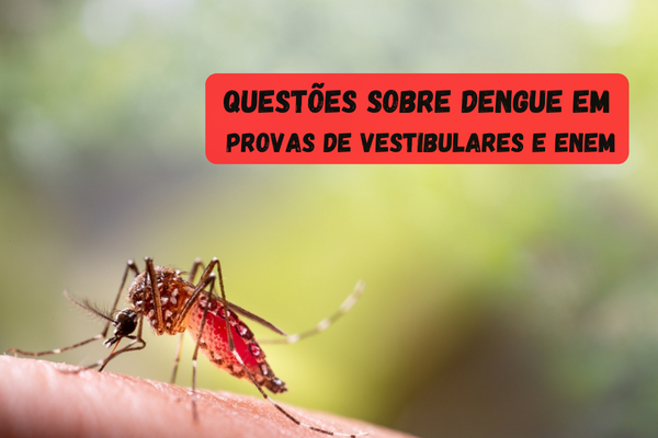 Dengue em vestibulares e no Enem