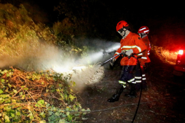 Bombeiros apagam queimadas no Pantanal