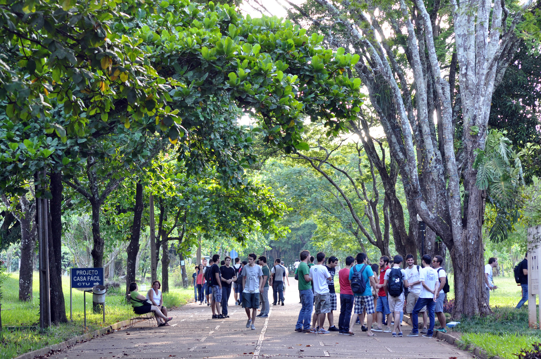 Estudantes caminhando pelo campus da UEL