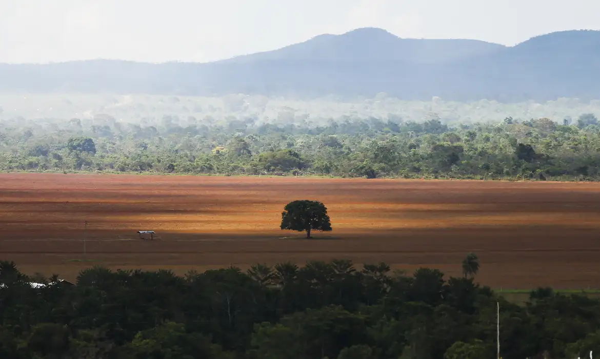 Foto de região desmatada no Brasil
