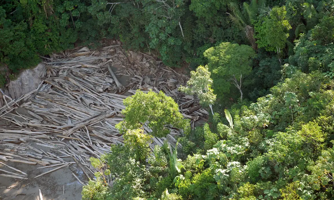 Vista aérea de região desmatada em meio à floresta