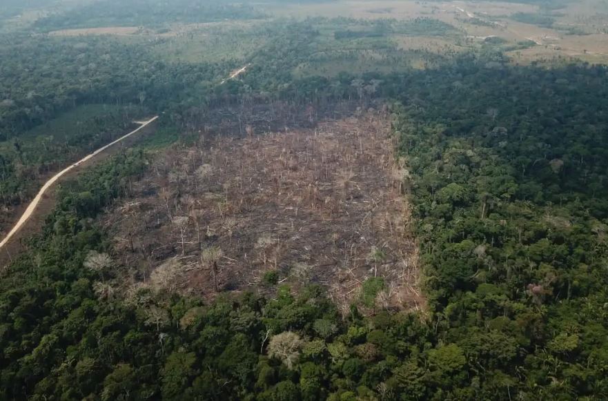 Amazônia