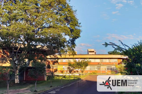 Universidade Estadual de Maringá (UEM), no Paraná